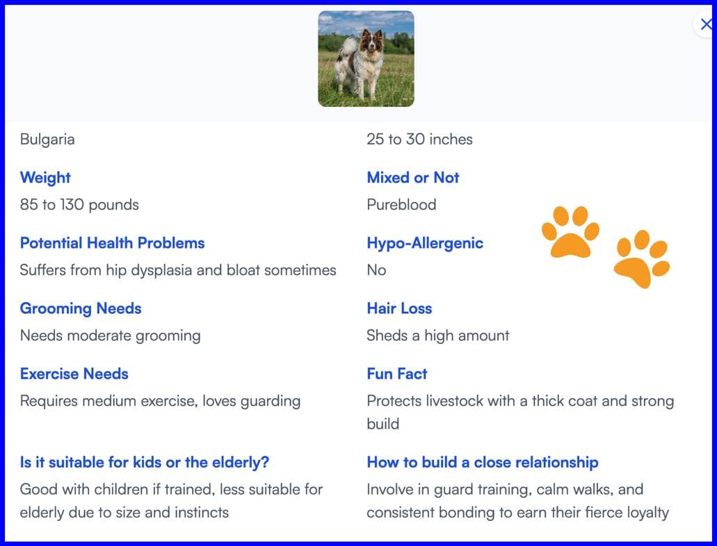 Detailed Dog Information