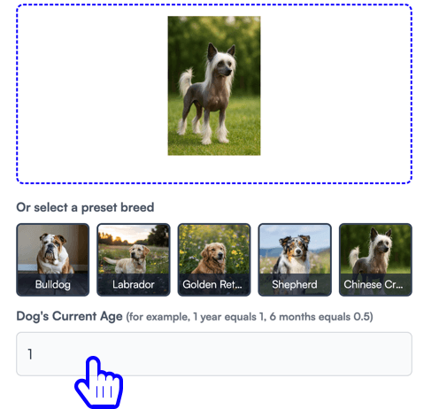 Enter your dog's exact age