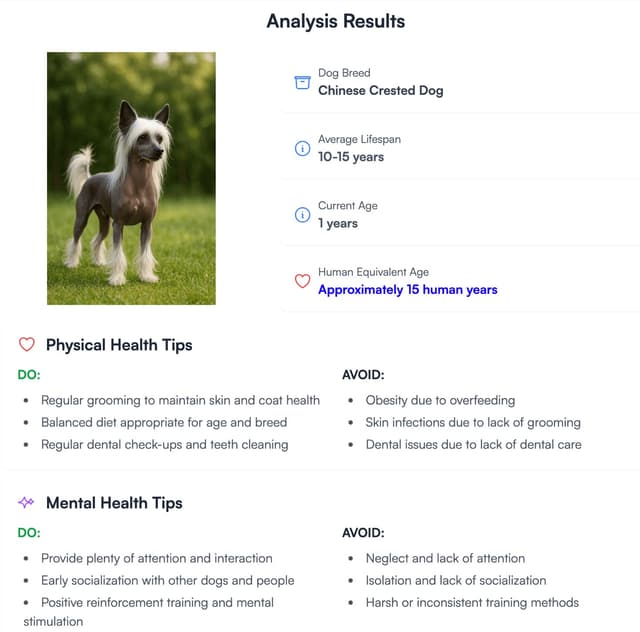 View dog age calculator results