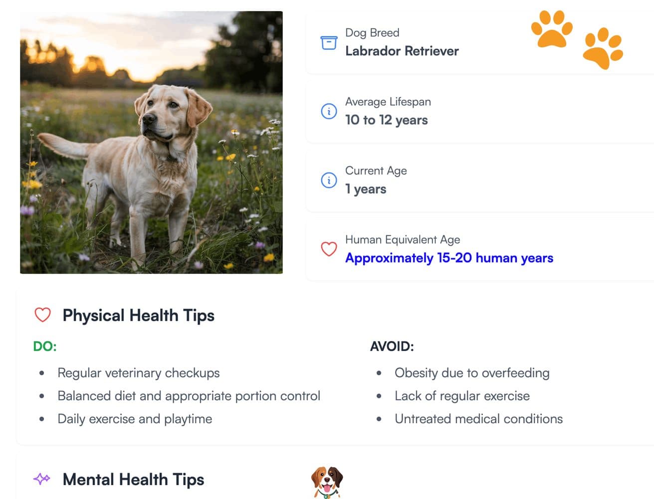 Accurate Dog Age Calculator