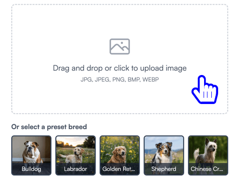 Upload your dog's photo