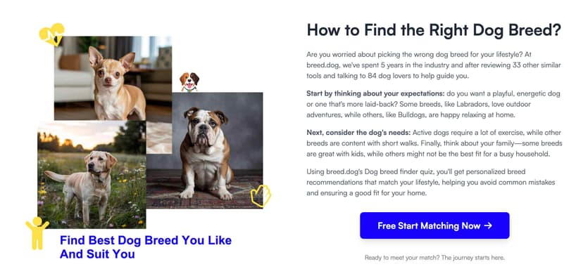 Dog Breed Finder