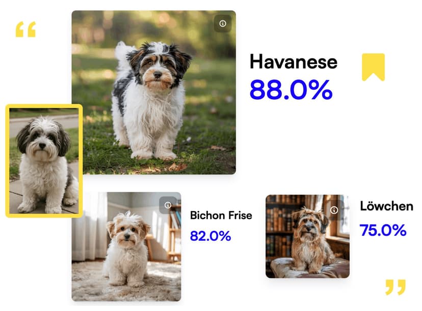 Dog Breed Identifier