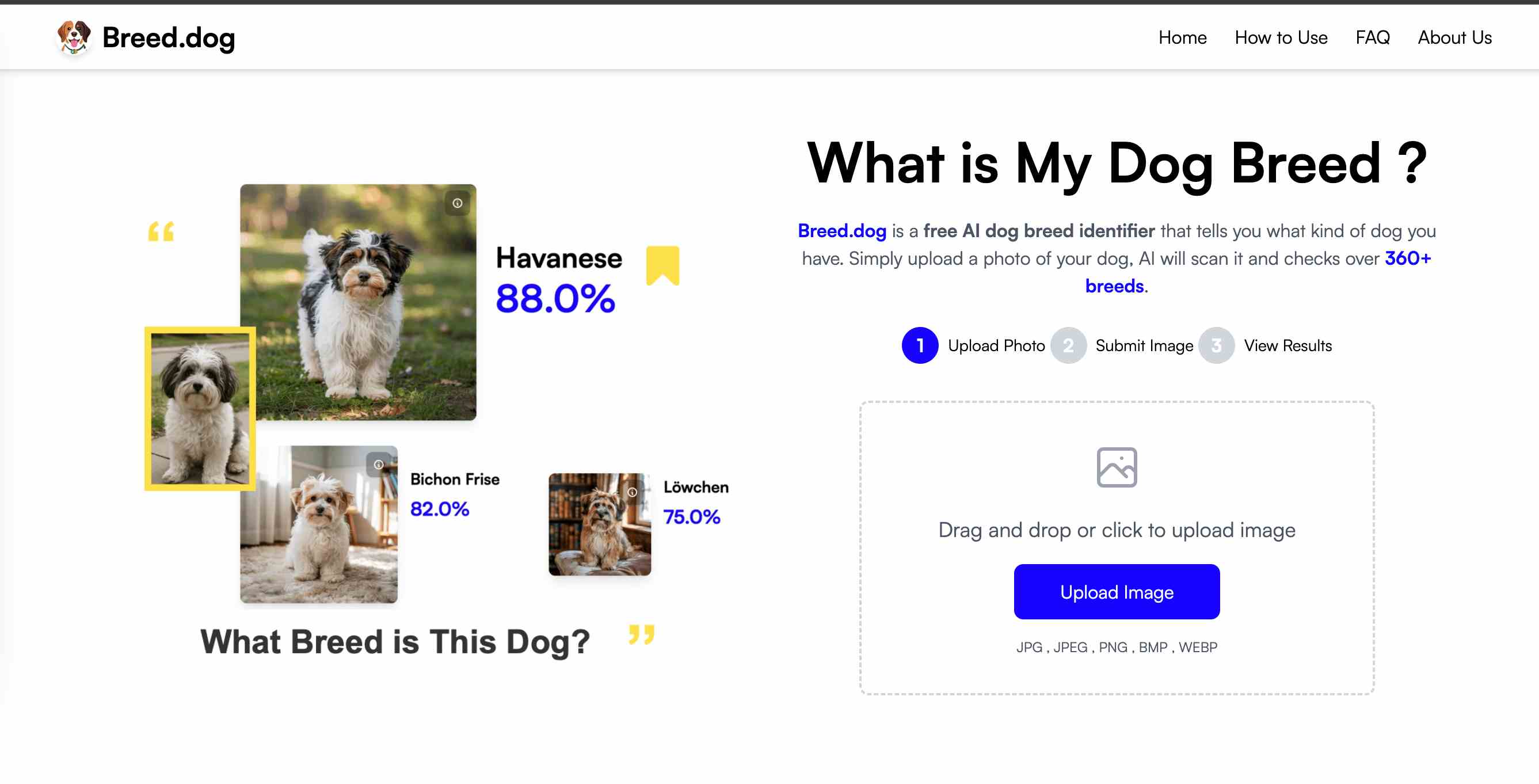 AI Dog Breed Identifier