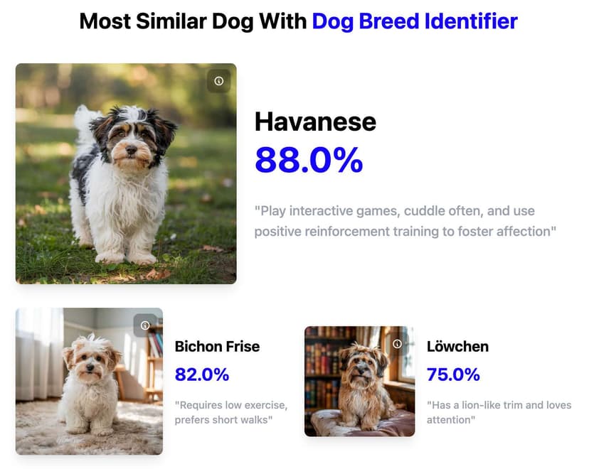 show the result of dog breed identifier