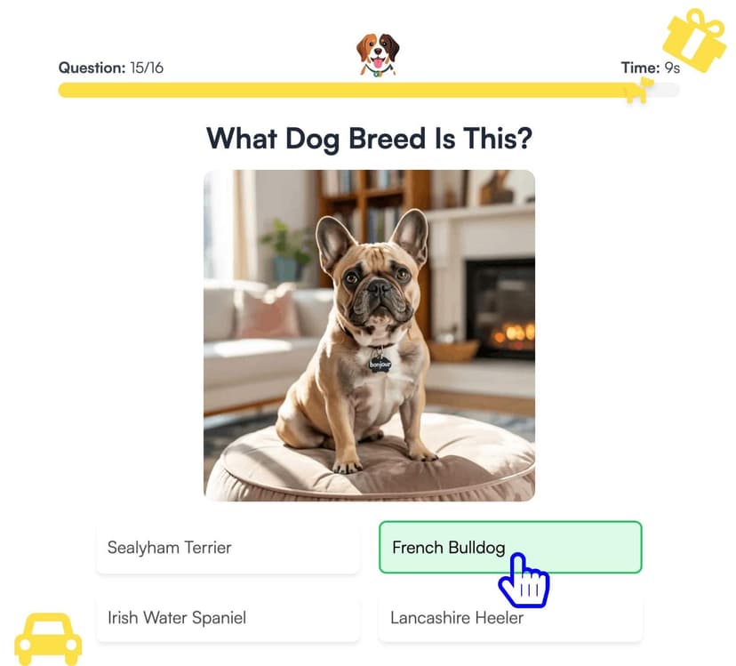 how to play Guess the dog breed quiz