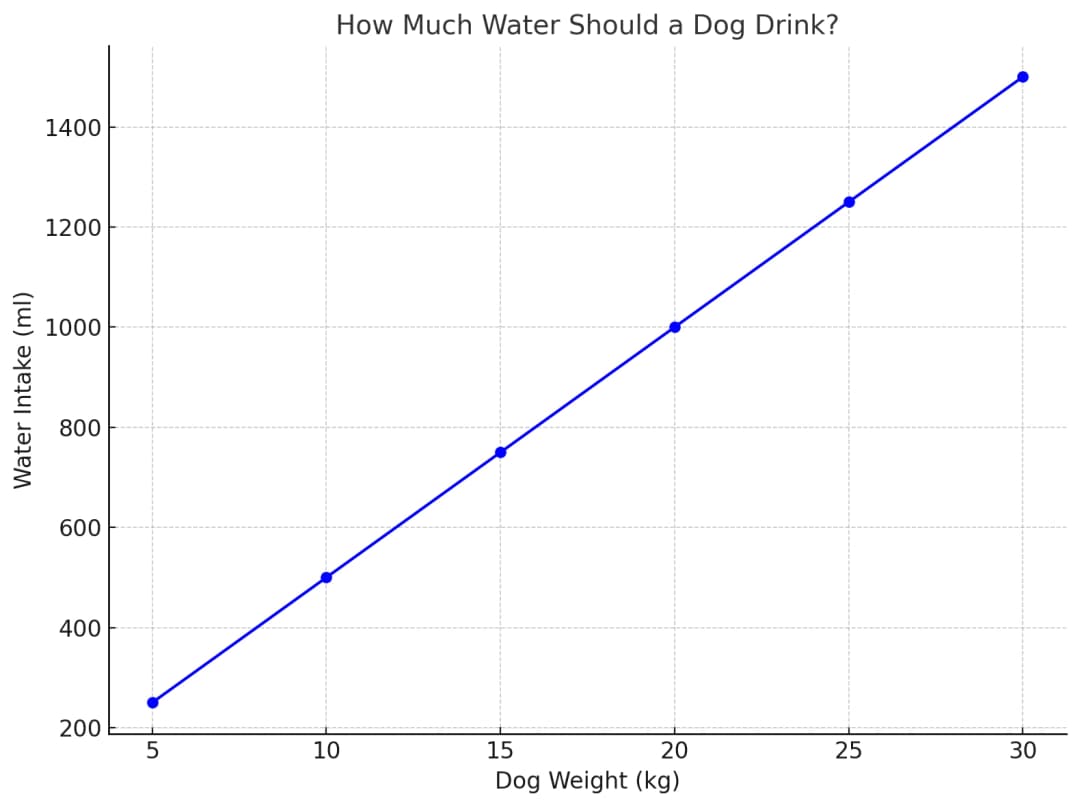 How much water should my dog drink - daily hydration chart and requirements for different dog breeds