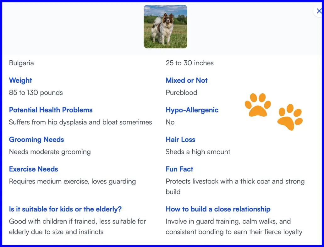Family researching dog breeds for adoption