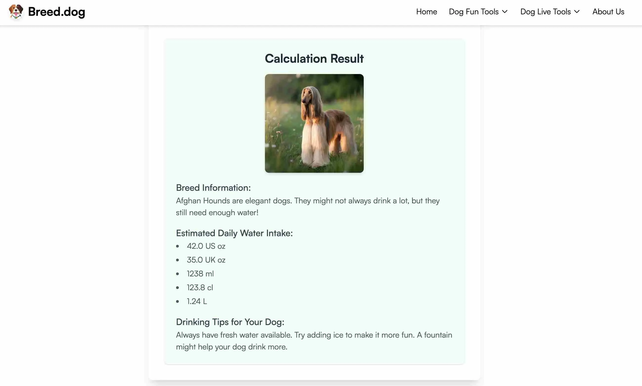 Dog Water Intake Calculator