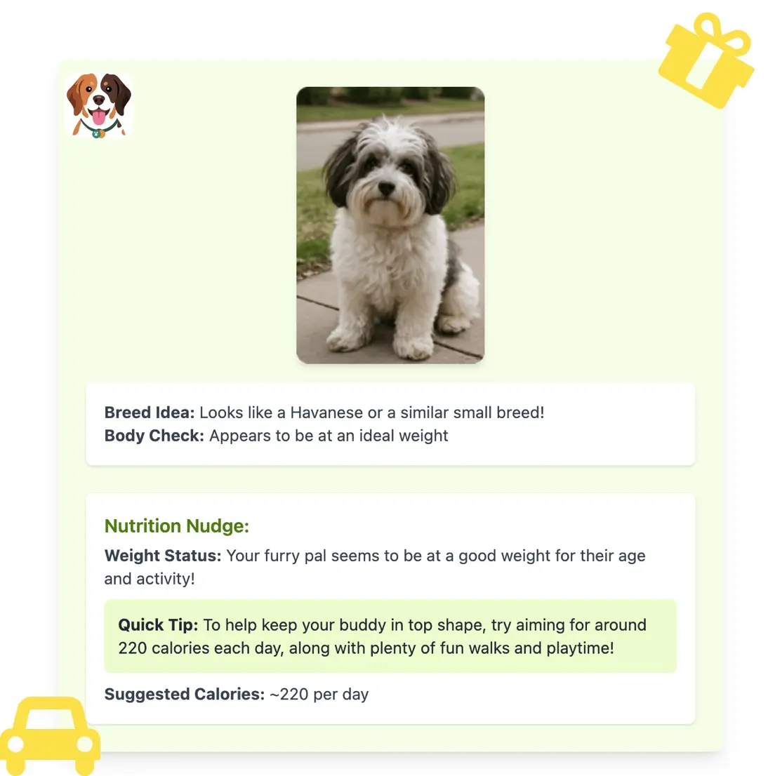 How to use dog calorie calculator