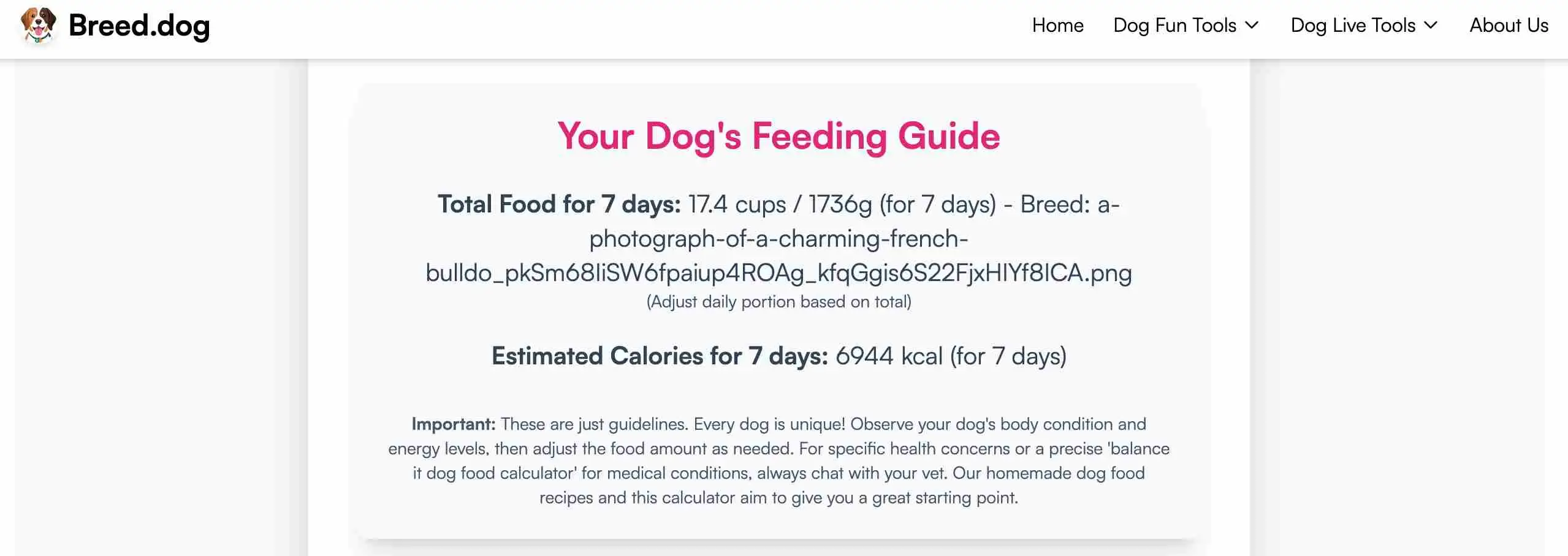Homemade Dog Food Calculator
