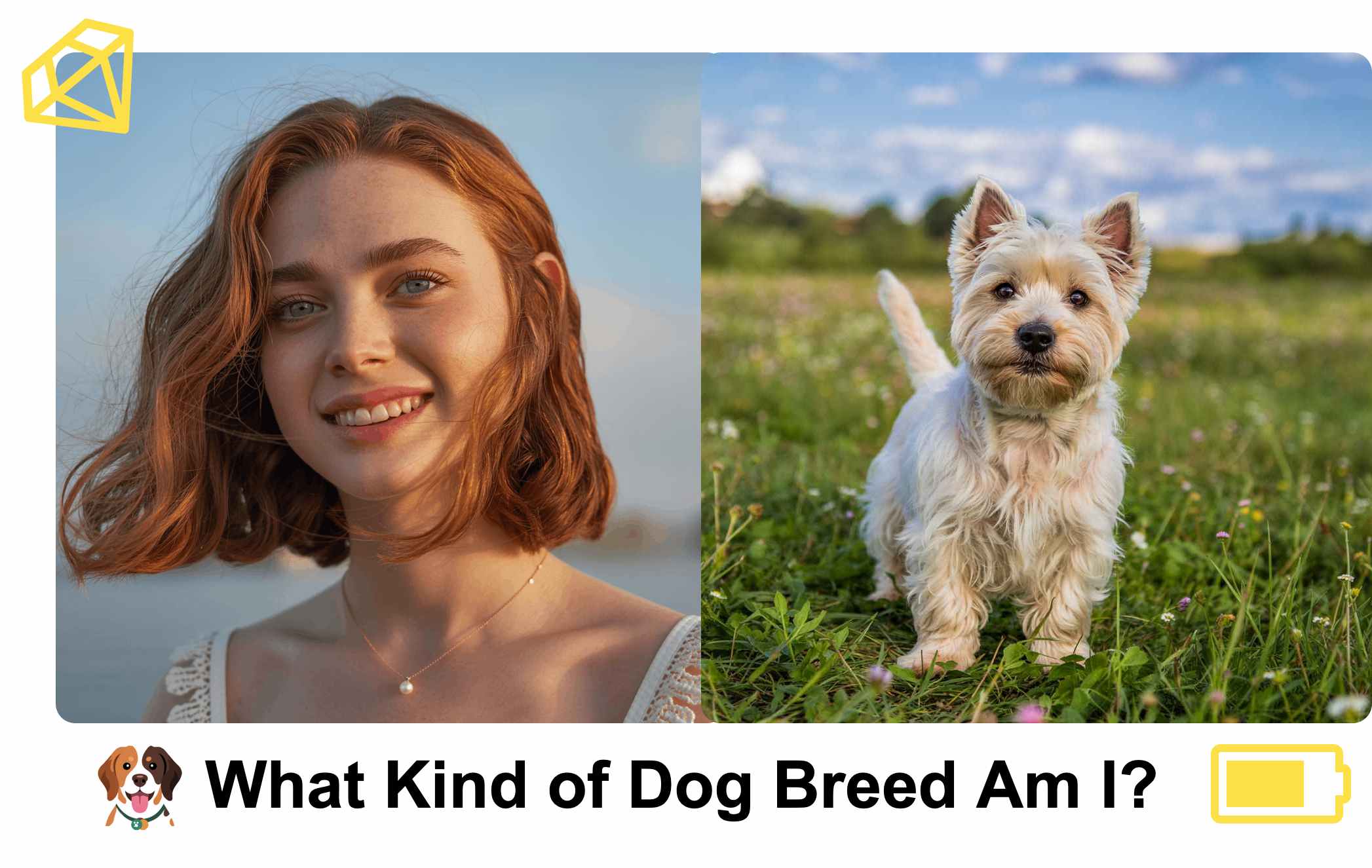 what dog breed am i quiz