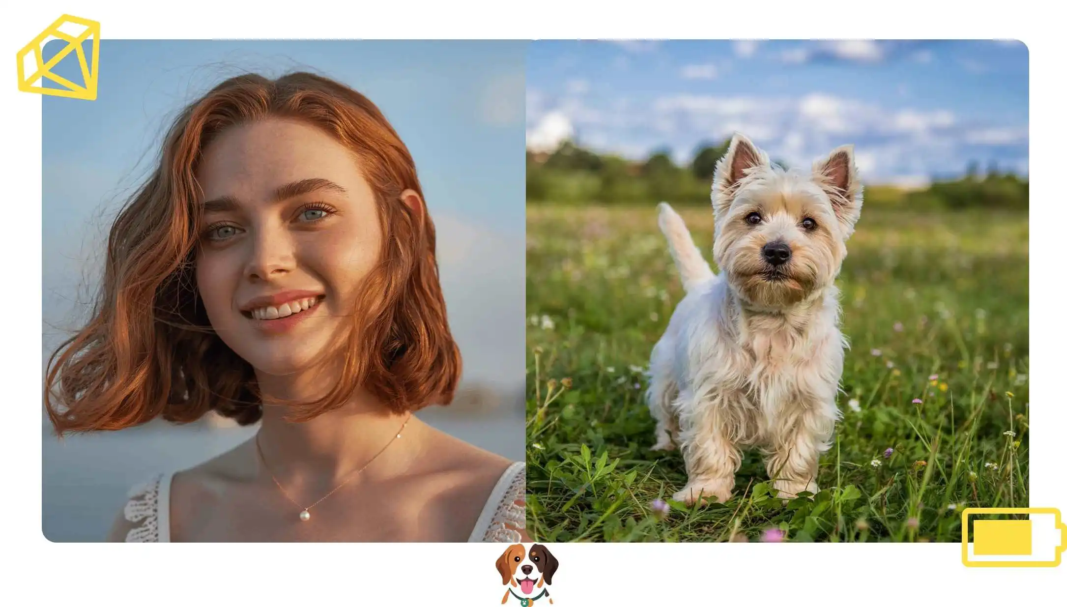 What Dog Breed Am I?